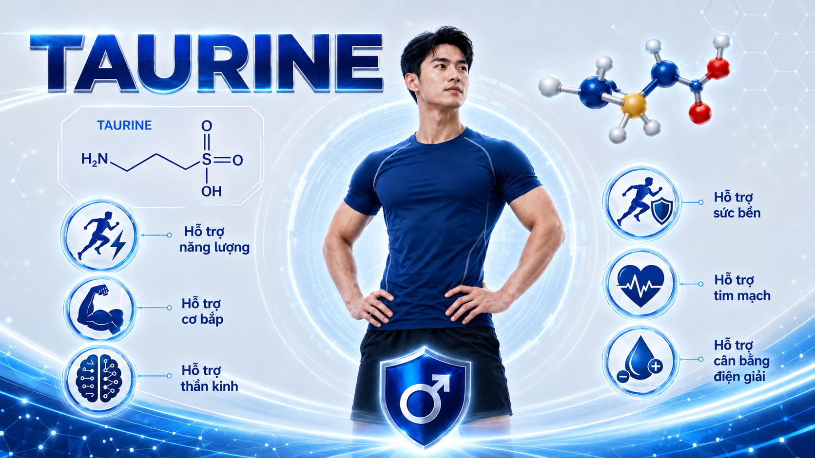 Taurine là gì? Công dụng của Taurine đối với năng lượng và thể lực